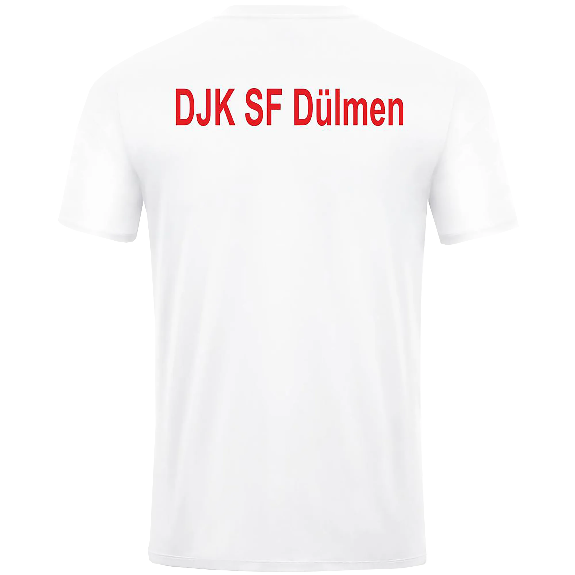 DJK SF Dülmen | Fanshirt Unisex