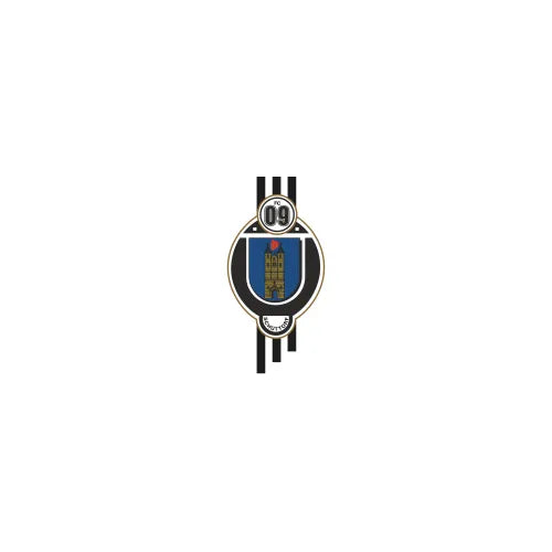 Logo FC Schüttorf 09