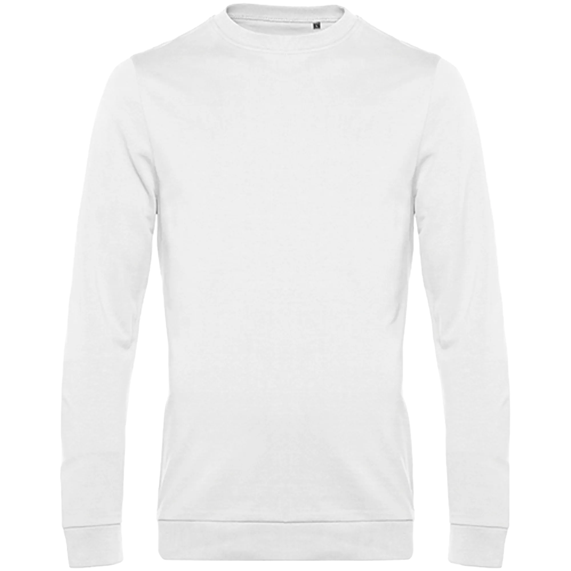   White Front 