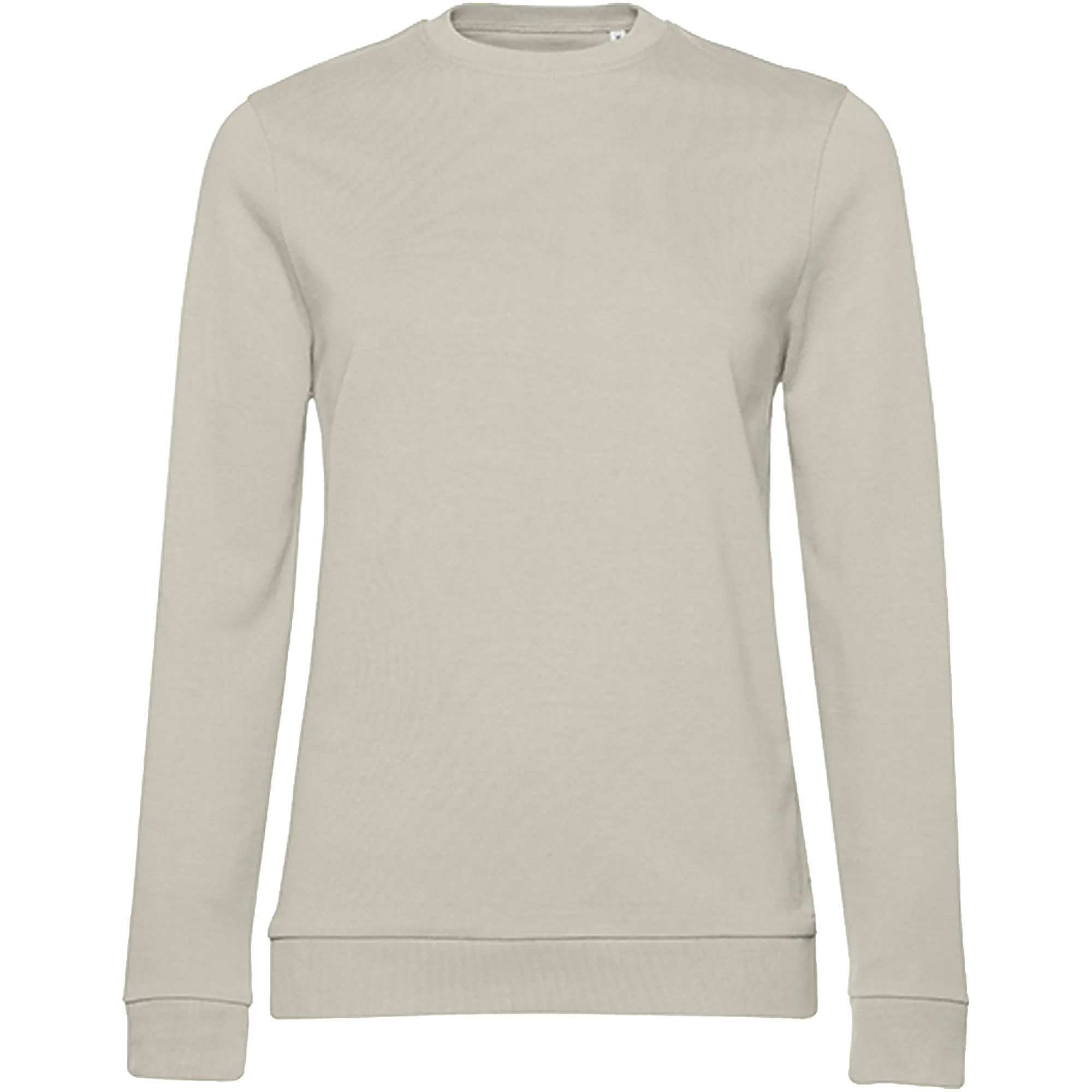   Grey-Fog Front 