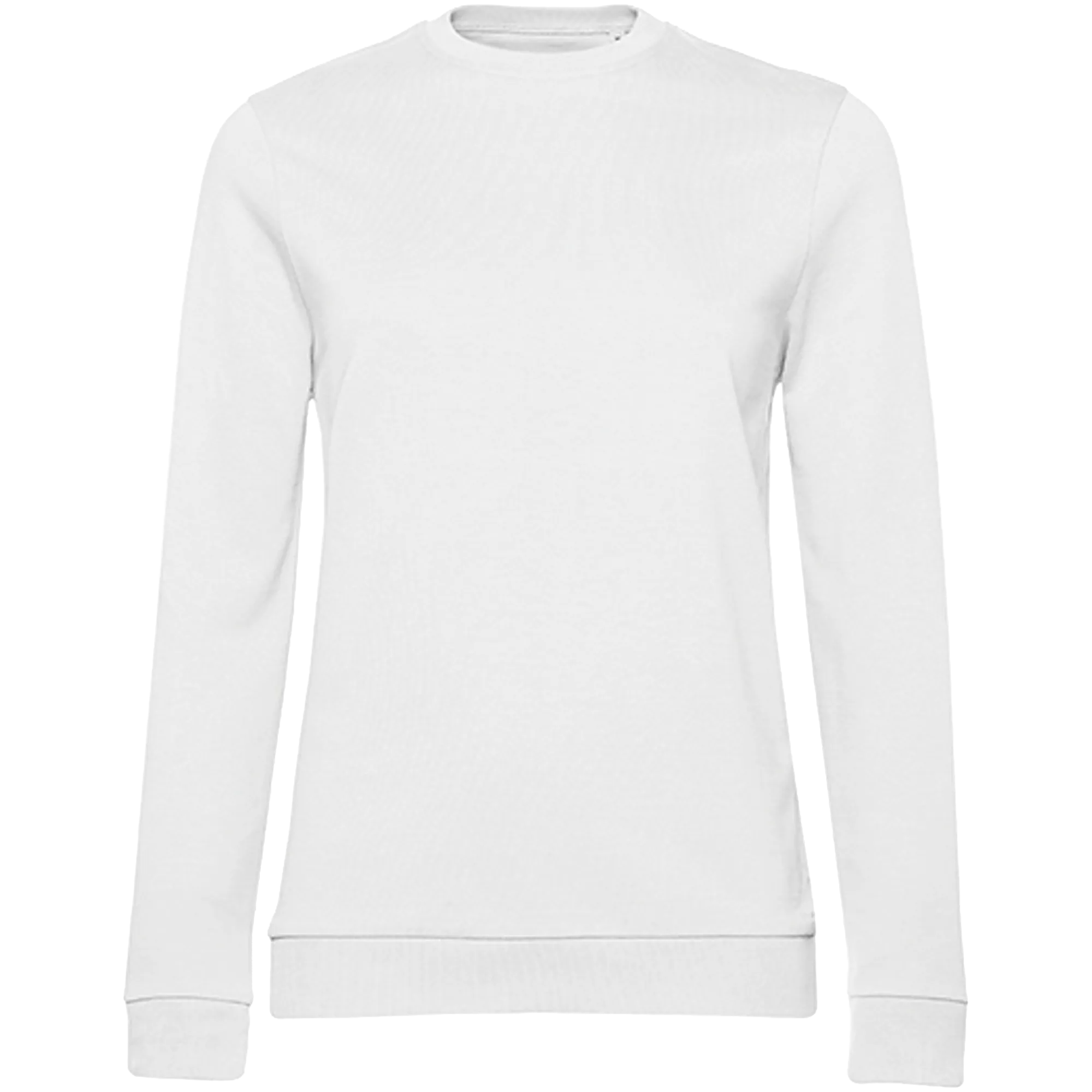   White Front 