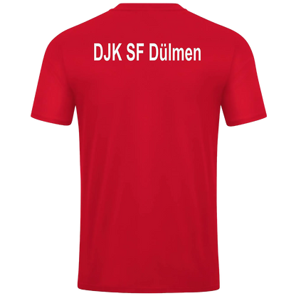 DJK SF Dülmen | Fanshirt Unisex