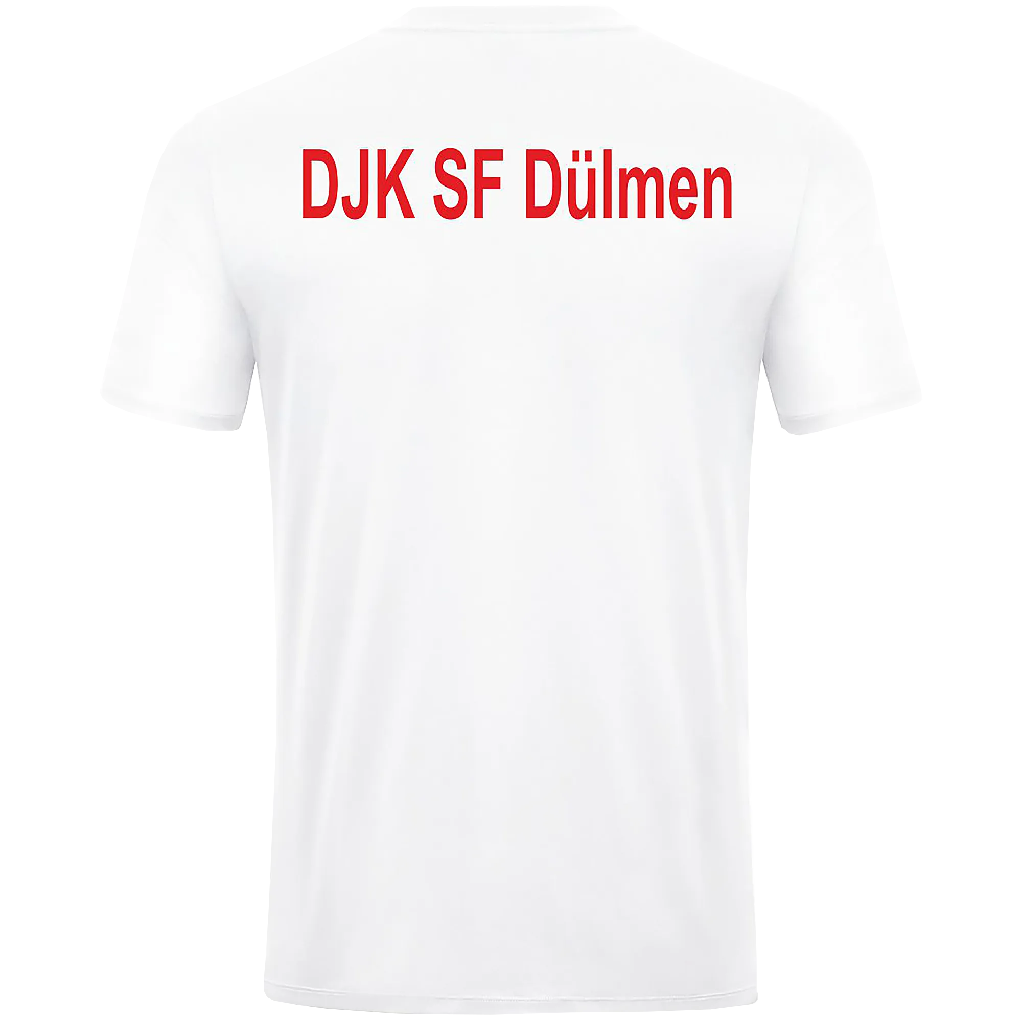 JAKO DJK SF Dülmen | Trikot Power Kurzarm Kinder weiss-rot Rücken 