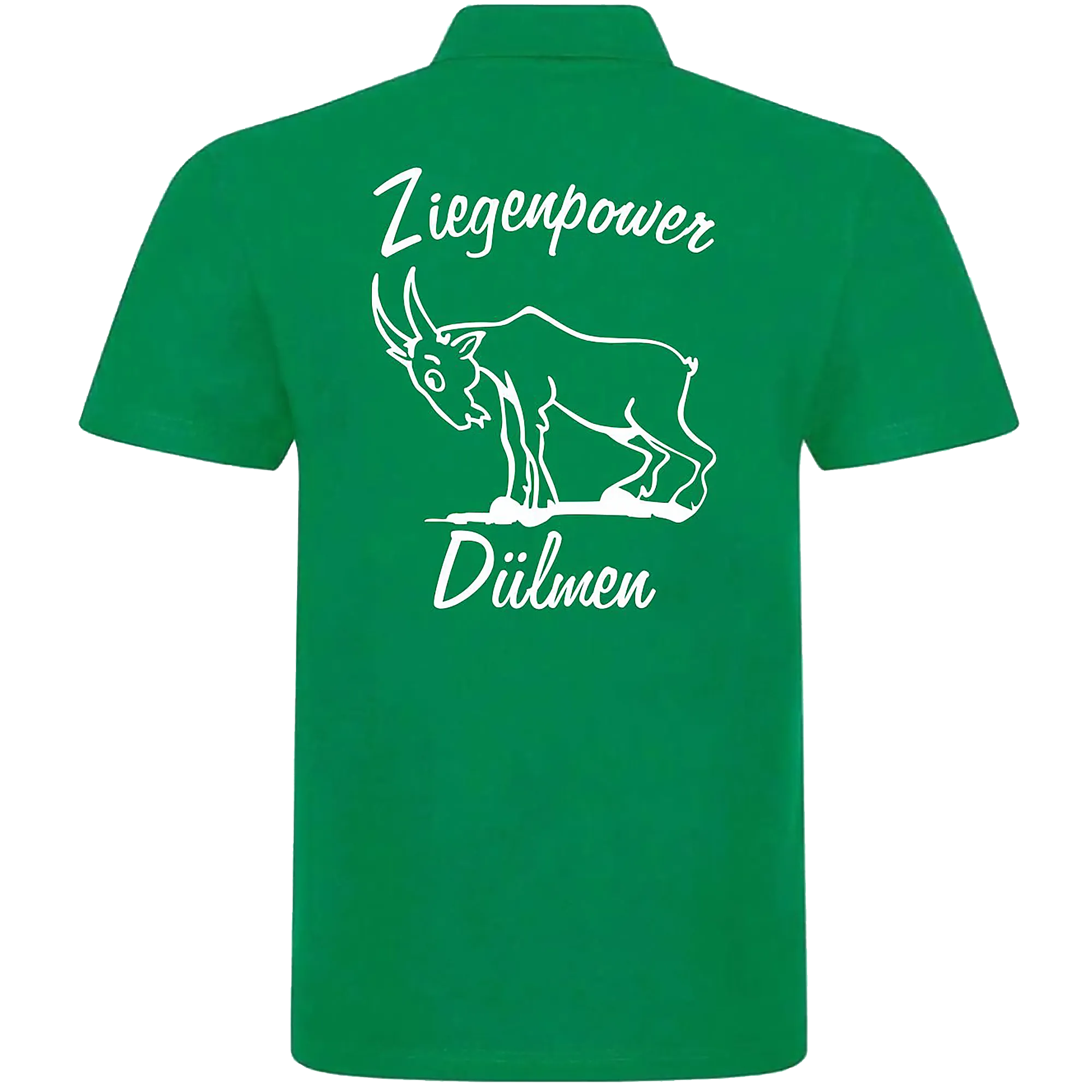 SOL´S Nieströter Schützenverein | Poloshirt Spring II Herren Rücken