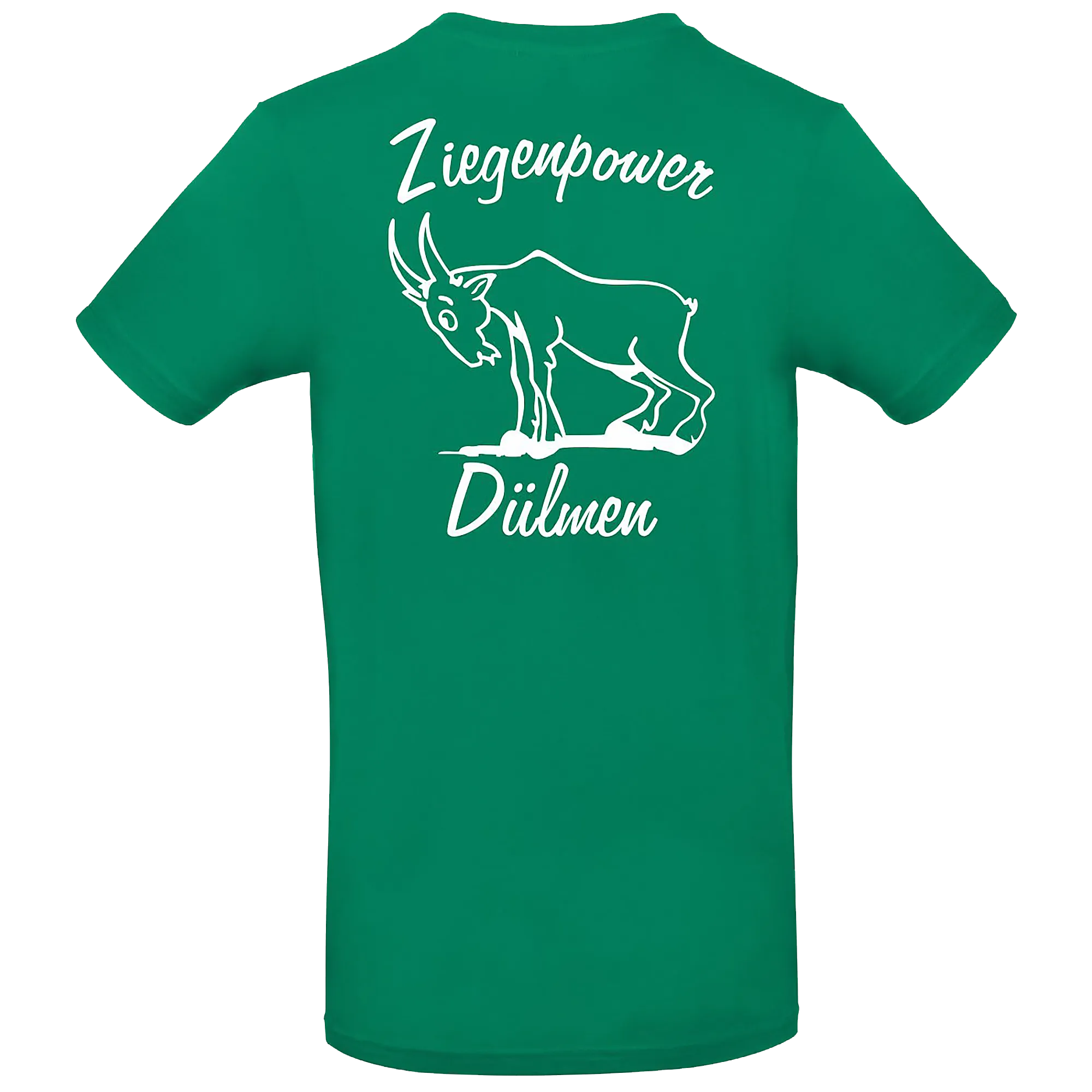 B&C BE INSPIRED Nieströter Schützenverein | T-Shirt #E190 Herren Rücken