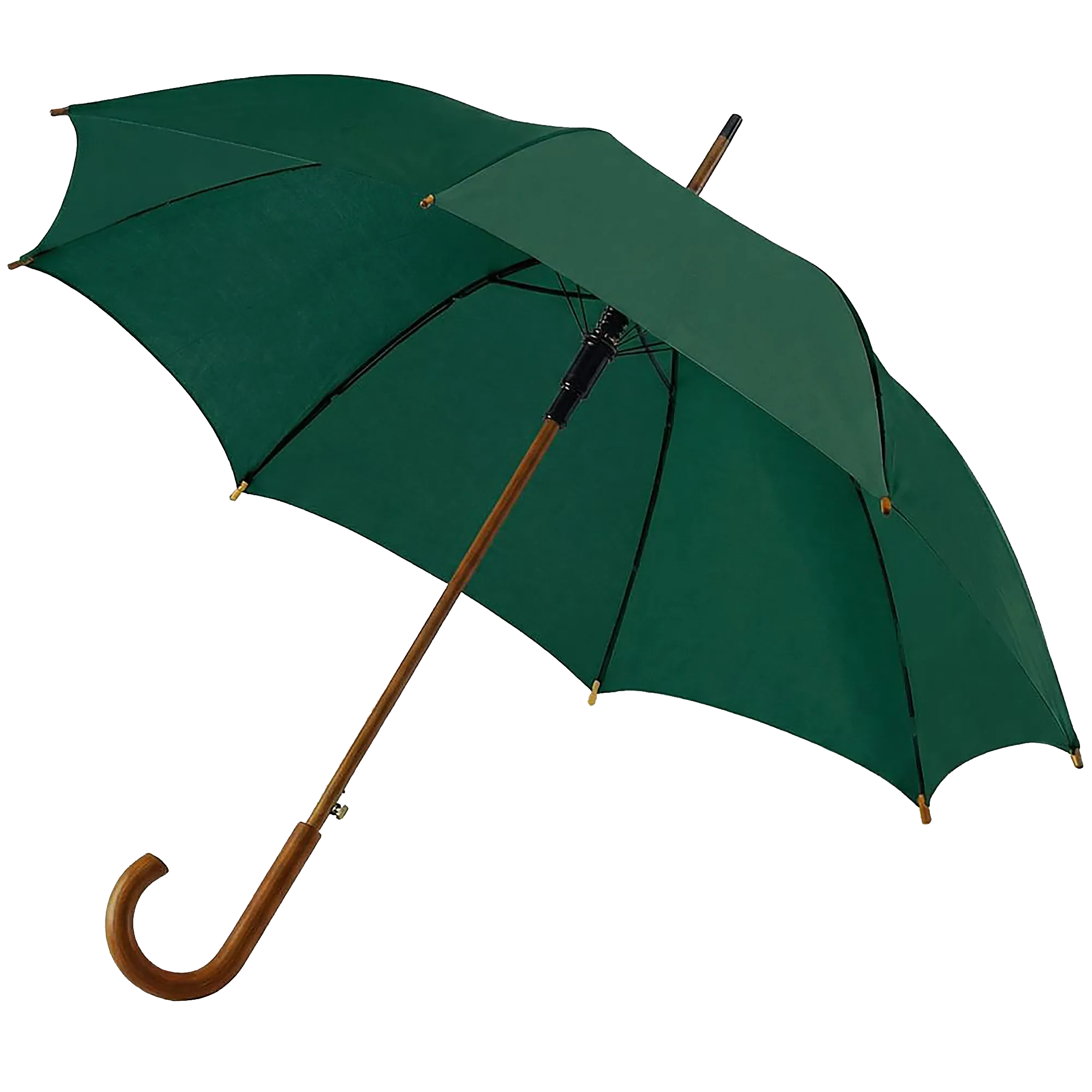 BIGTIME Schützen Börnste | Regenschirm grün Front