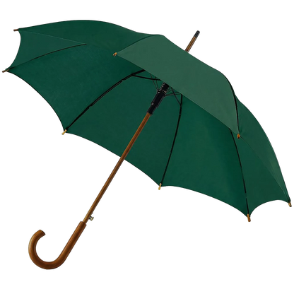 BIGTIME Schützen Börnste | Regenschirm grün Front